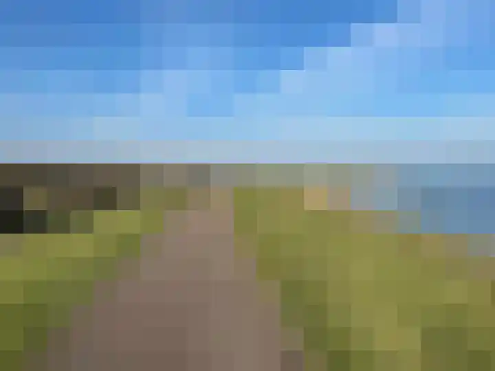 Binnendijk 2 071 Wemeldinge thumbnail 54
