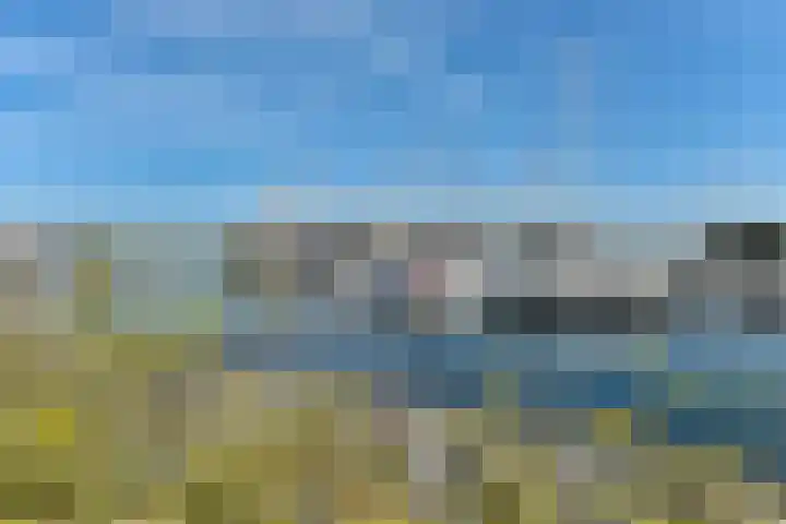Binnendijk 2 071 Wemeldinge thumbnail 57