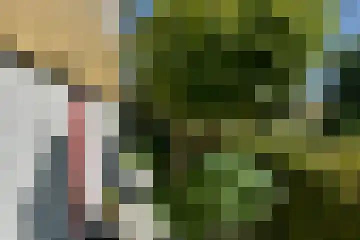 Binnendijk 2 071 Wemeldinge thumbnail 6