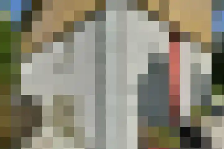 Binnendijk 2 071 Wemeldinge thumbnail 7