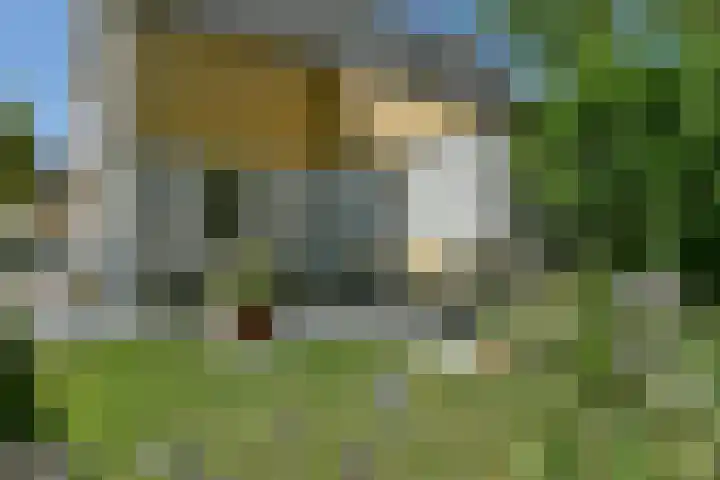 Binnendijk 2 071 Wemeldinge thumbnail 8