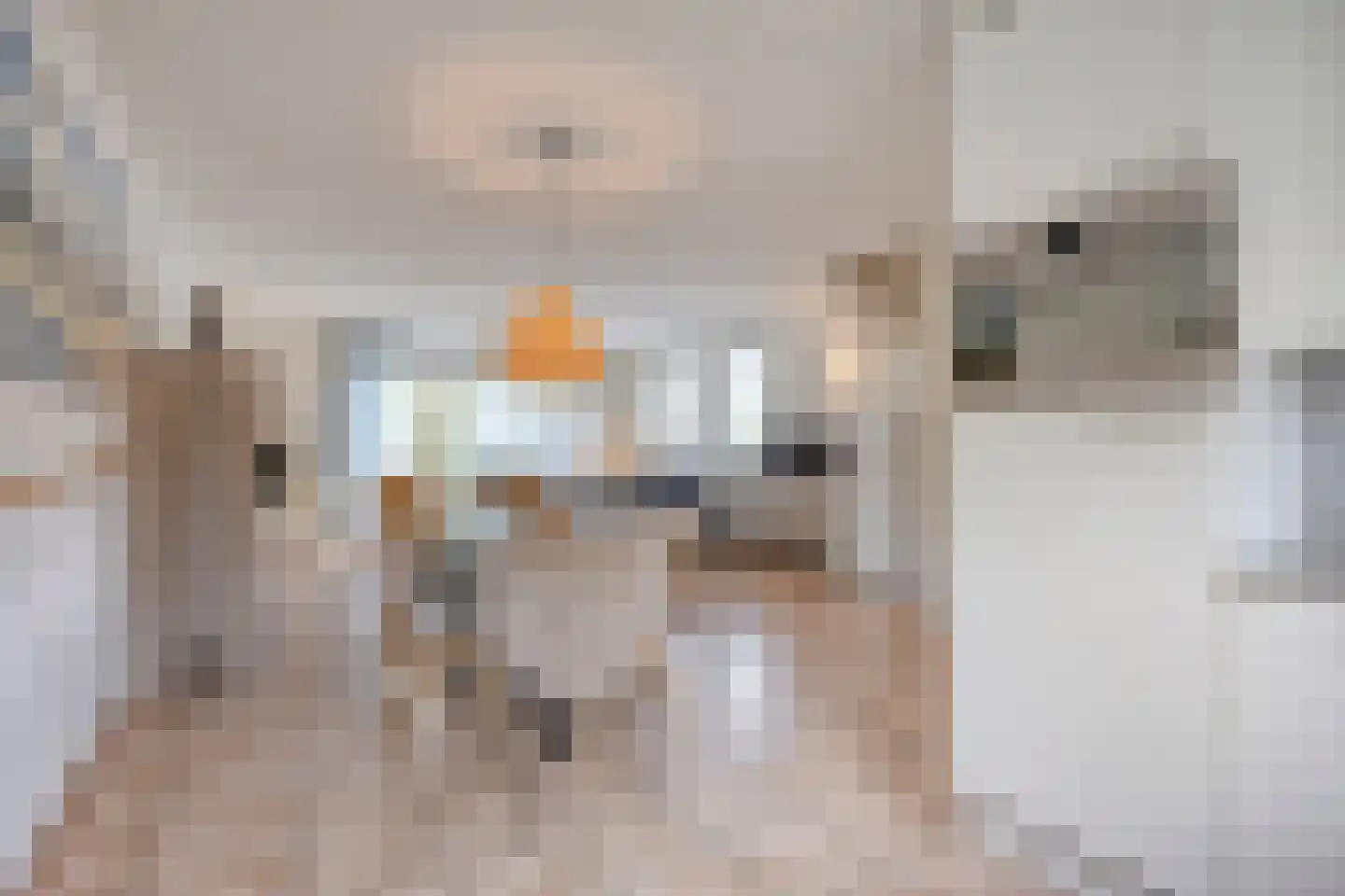 Binnendijk 2 077 Wemeldinge thumbnail 12