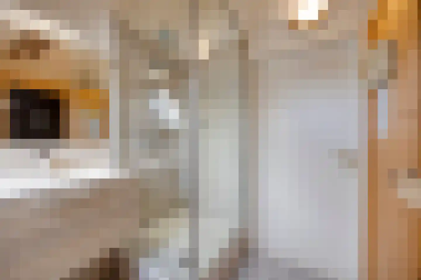 Binnendijk 2 077 Wemeldinge thumbnail 21
