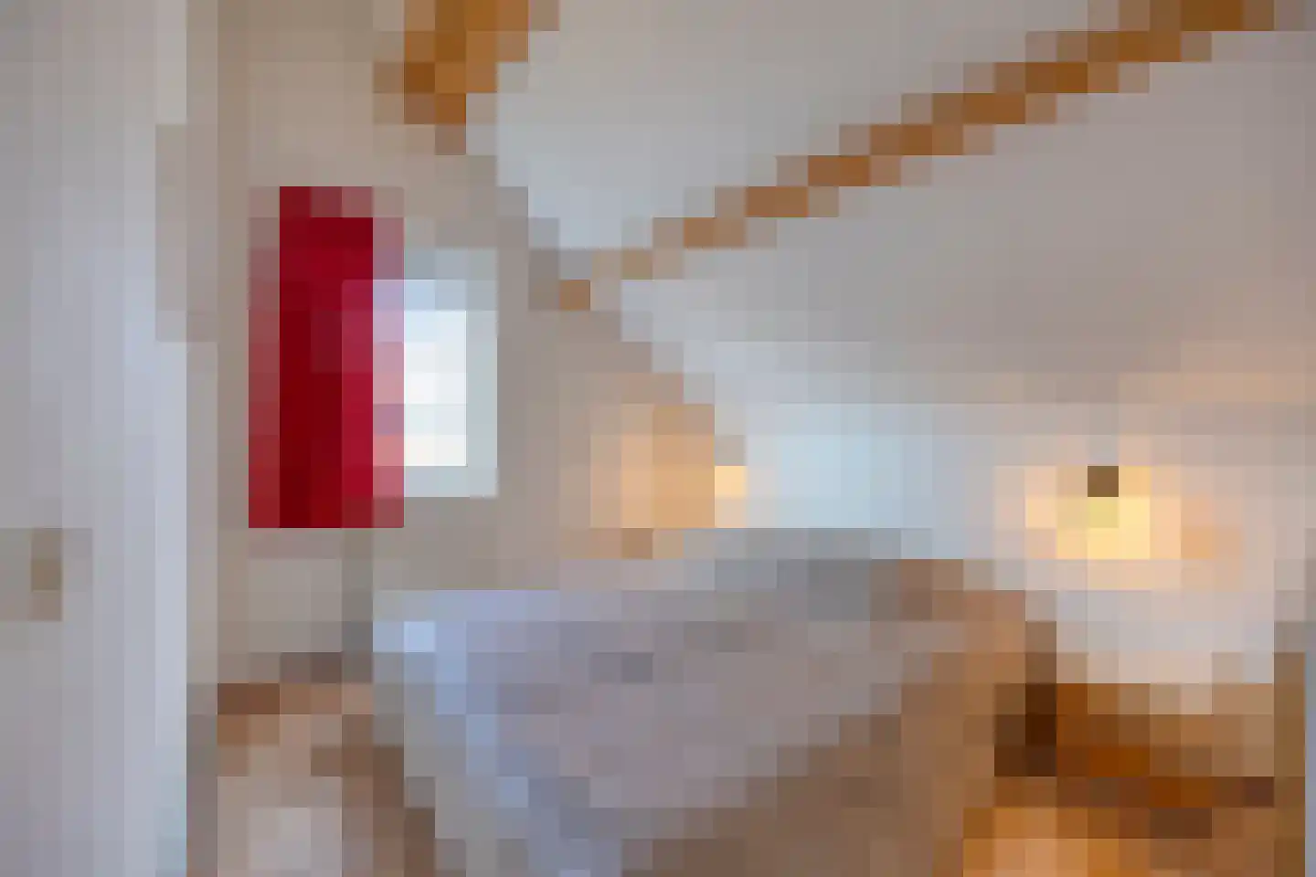 Binnendijk 2 077 Wemeldinge thumbnail 22