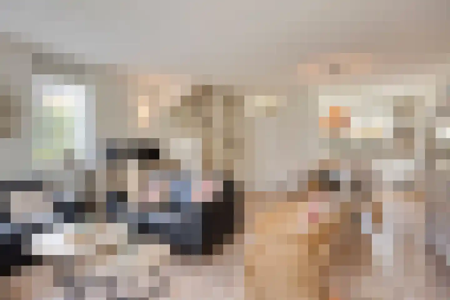 Binnendijk 2 077 Wemeldinge thumbnail 8