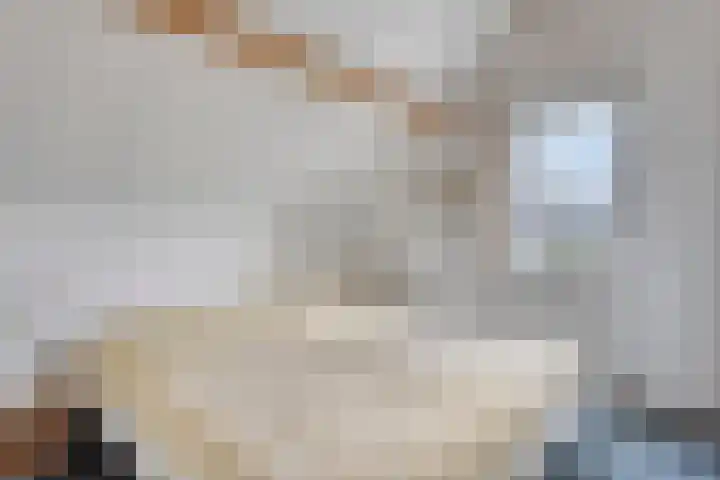 Binnendijk 2 098 Wemeldinge thumbnail 25