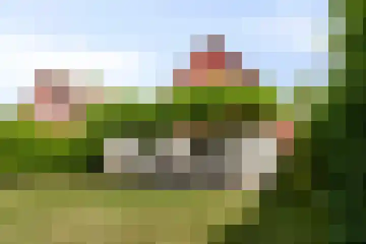 Binnendijk 2 098 Wemeldinge thumbnail 5