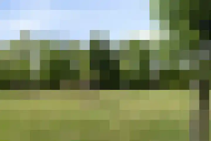 Binnendijk 2 098 Wemeldinge thumbnail 6
