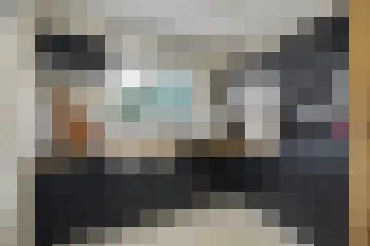 Binnendijk 2 113 Wemeldinge thumbnail 10