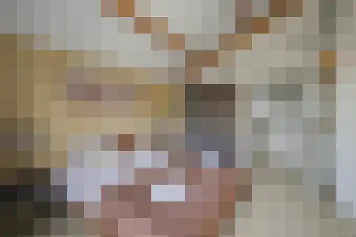 Binnendijk 2 113 Wemeldinge thumbnail 13