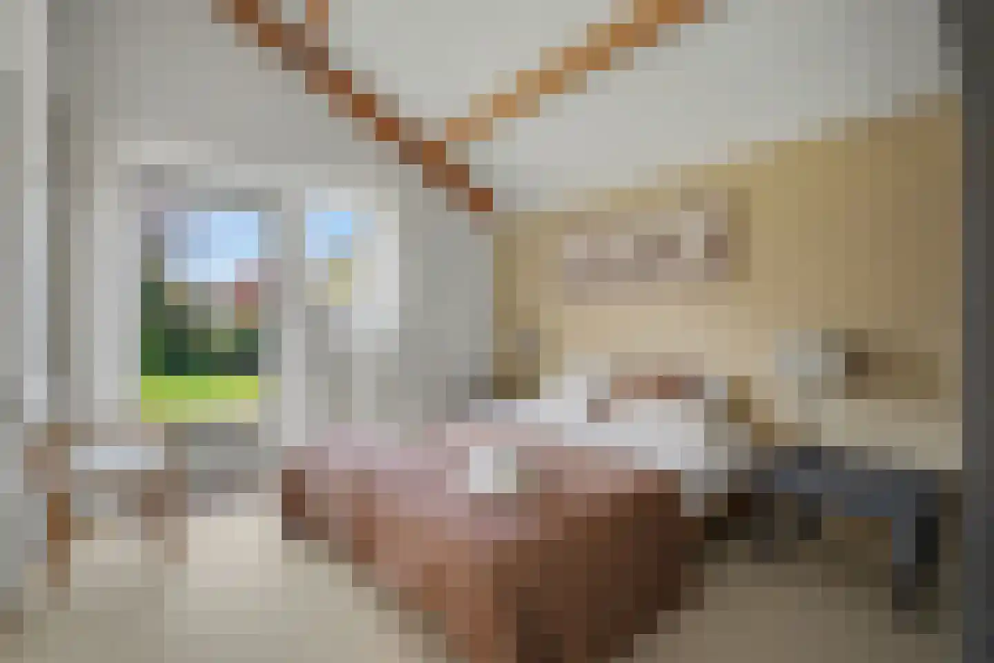 Binnendijk 2 113 Wemeldinge thumbnail 15