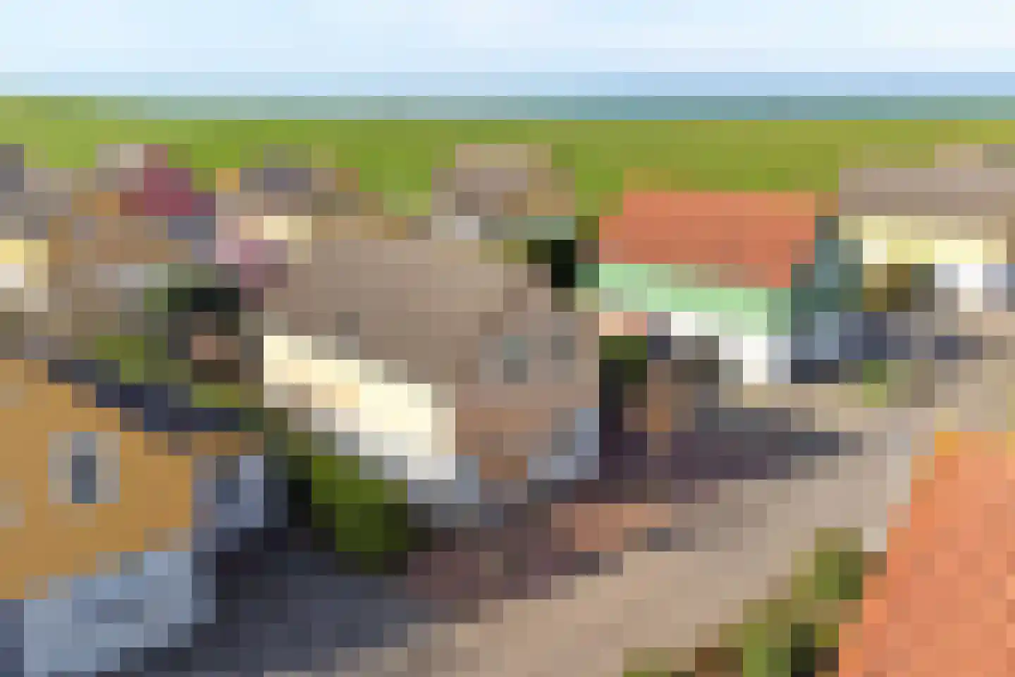 Binnendijk 2 113 Wemeldinge thumbnail 33