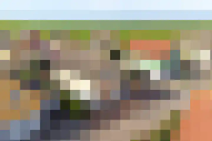 Binnendijk 2 113 Wemeldinge thumbnail 33