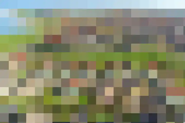 Binnendijk 2 113 Wemeldinge thumbnail 37