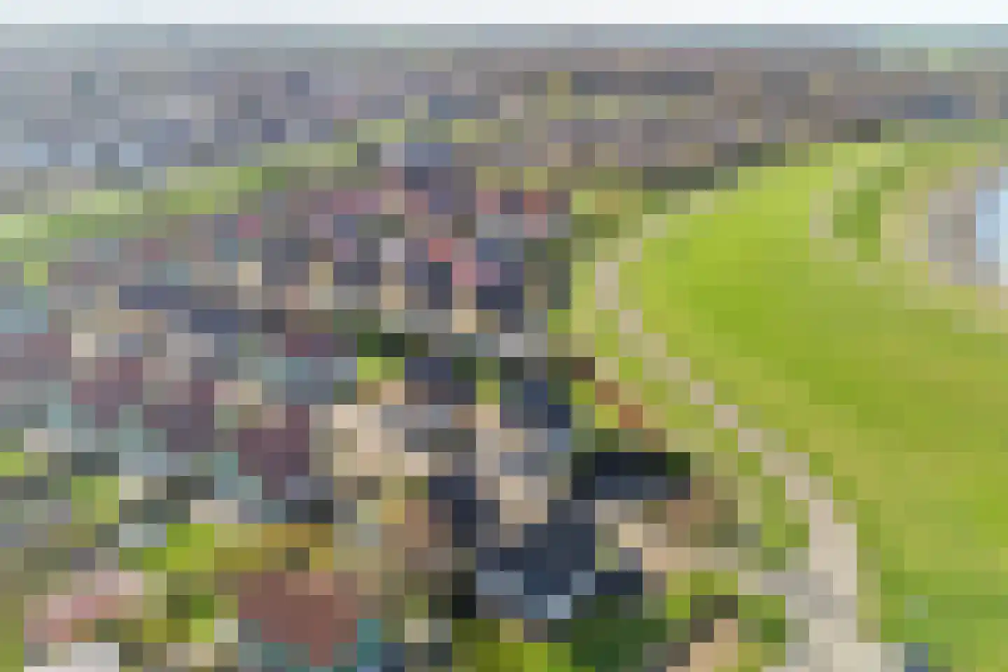 Binnendijk 2 113 Wemeldinge thumbnail 38