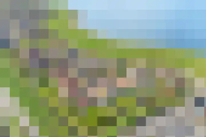 Binnendijk 2 113 Wemeldinge thumbnail 40