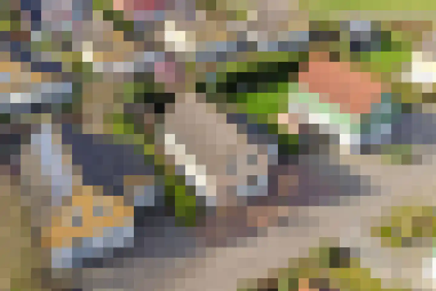 Binnendijk 2 113 Wemeldinge thumbnail 40