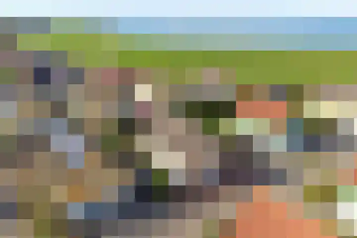 Binnendijk 2 113 Wemeldinge thumbnail 42