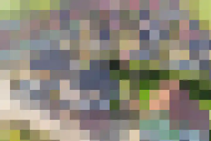 Binnendijk 2 113 Wemeldinge thumbnail 44