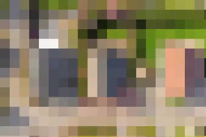 Binnendijk 2 113 Wemeldinge thumbnail 46