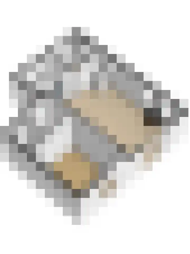 Binnendijk 2 113 Wemeldinge thumbnail 51
