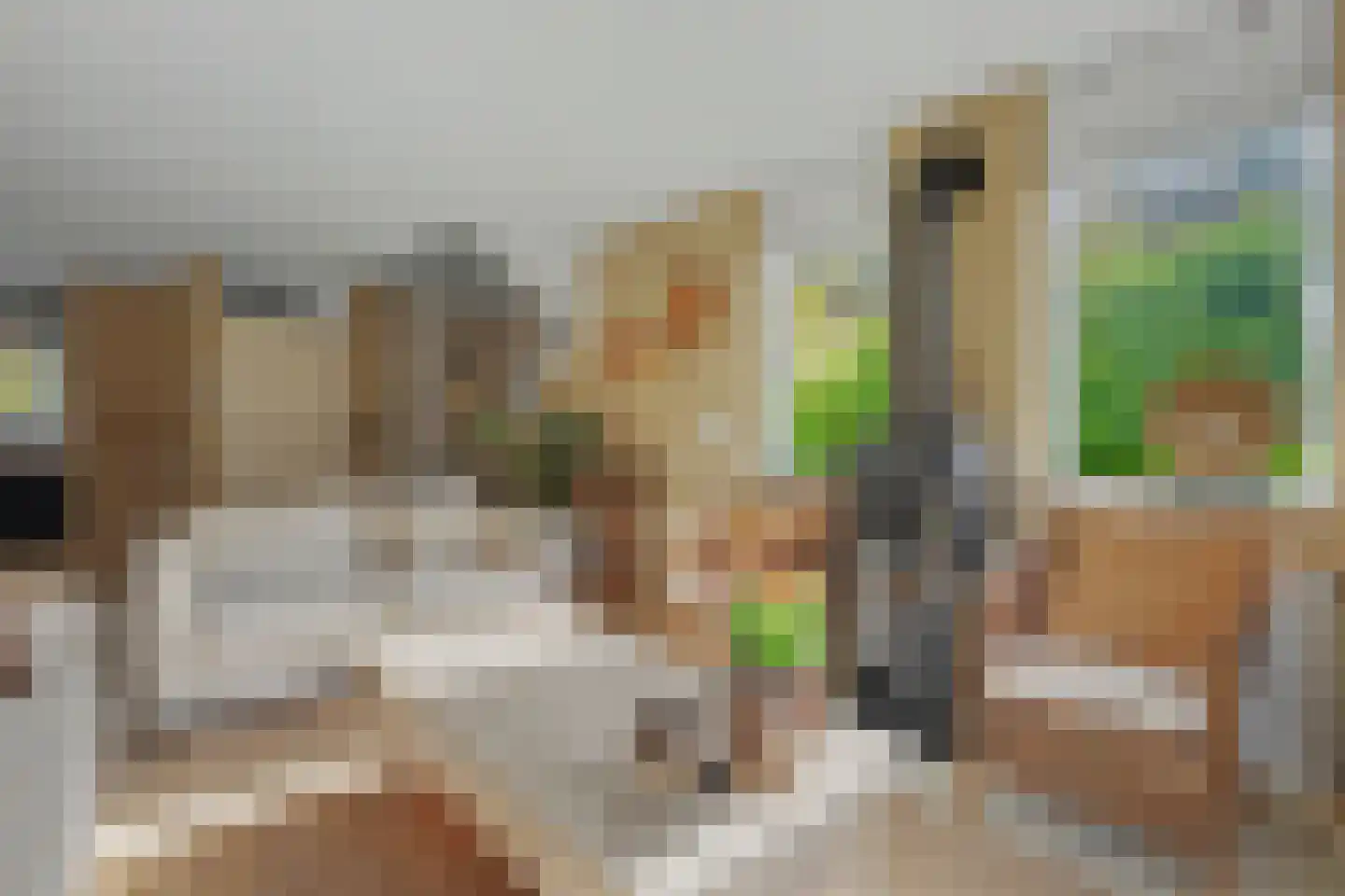 Binnendijk 2 113 Wemeldinge thumbnail 6