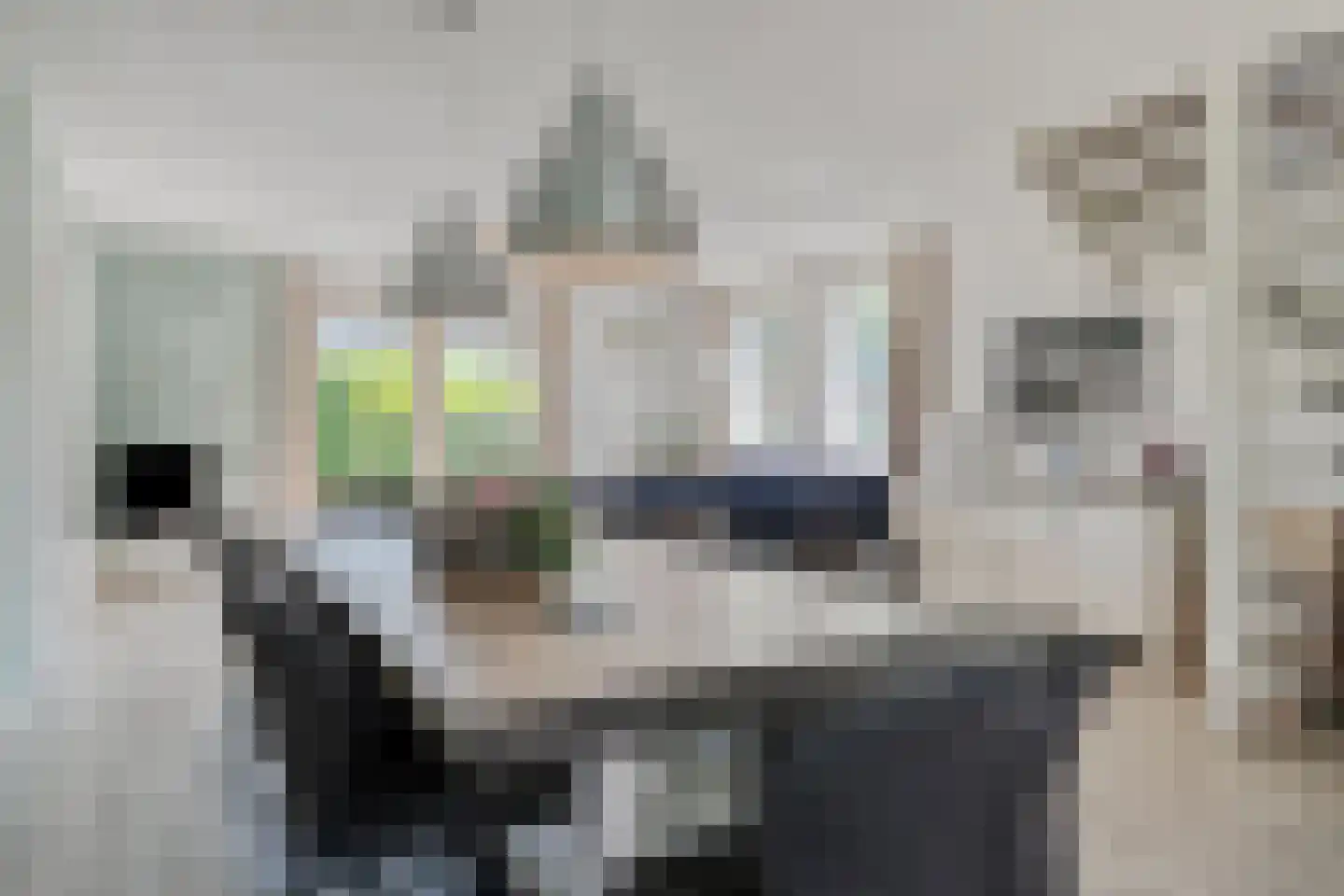 Binnendijk 2 125 Wemeldinge thumbnail 10