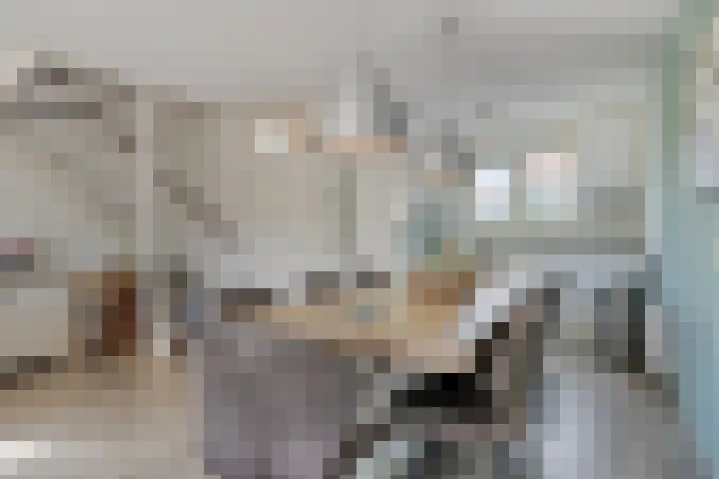 Binnendijk 2 125 Wemeldinge thumbnail 17