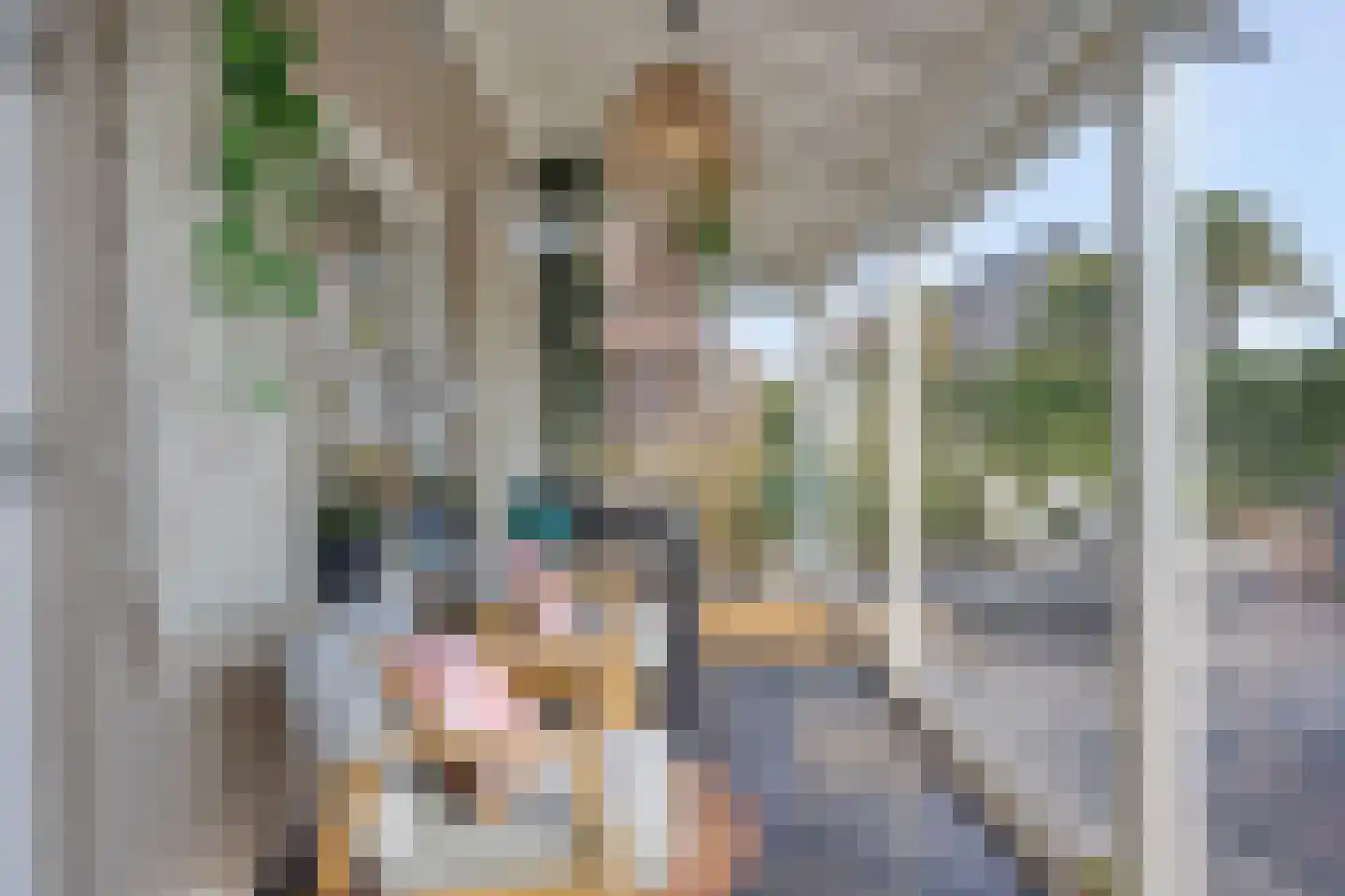 Binnendijk 2 135 Wemeldinge thumbnail 20