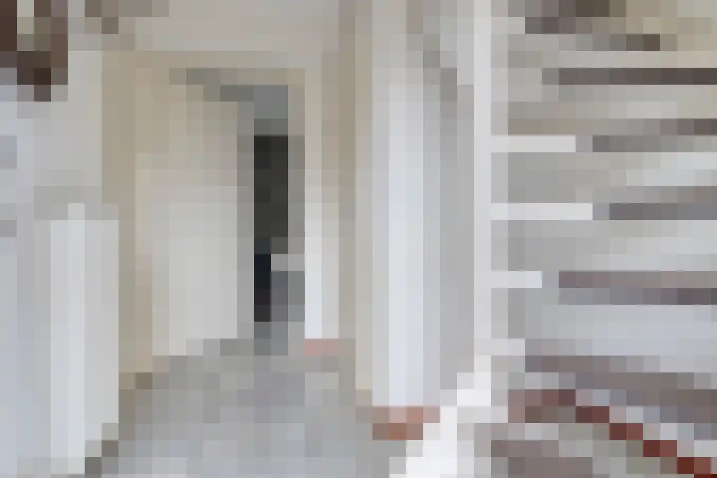 Binnendijk 2 142 Wemeldinge thumbnail 19