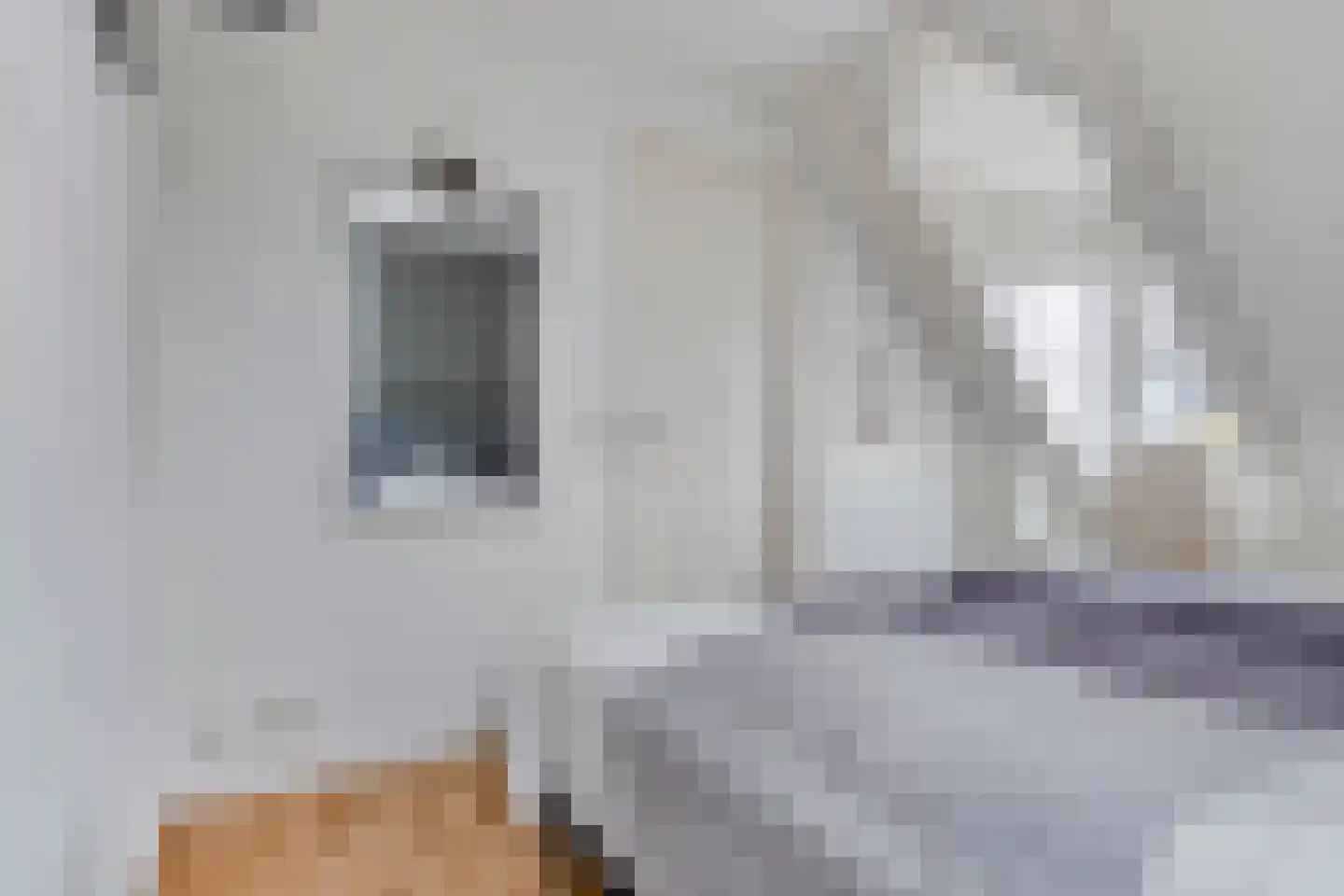 Binnendijk 2 142 Wemeldinge thumbnail 26