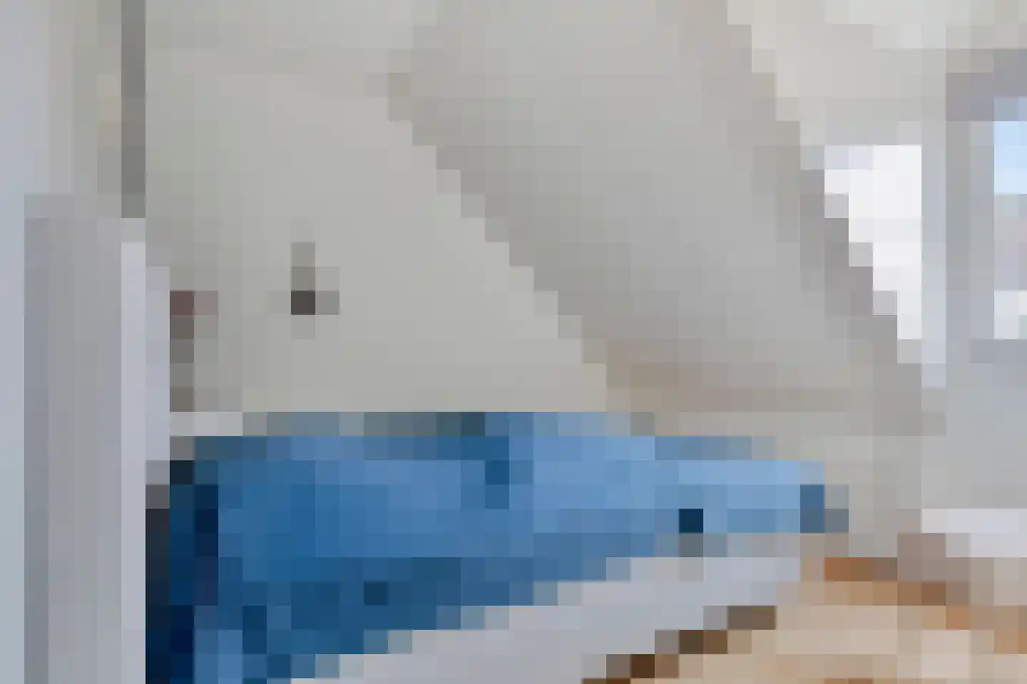 Binnendijk 2 142 Wemeldinge thumbnail 28