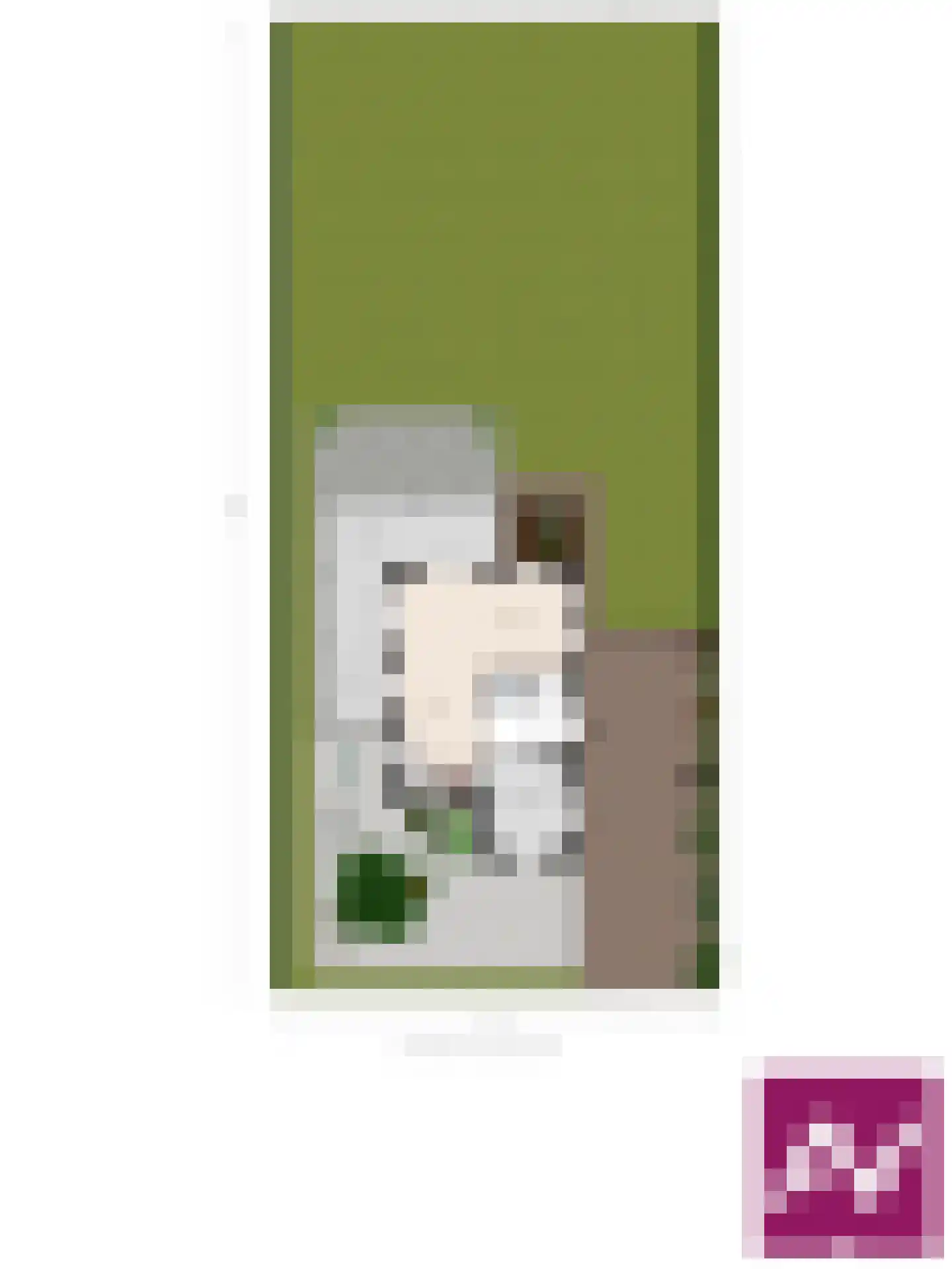 Binnendijk 2 142 Wemeldinge thumbnail 8