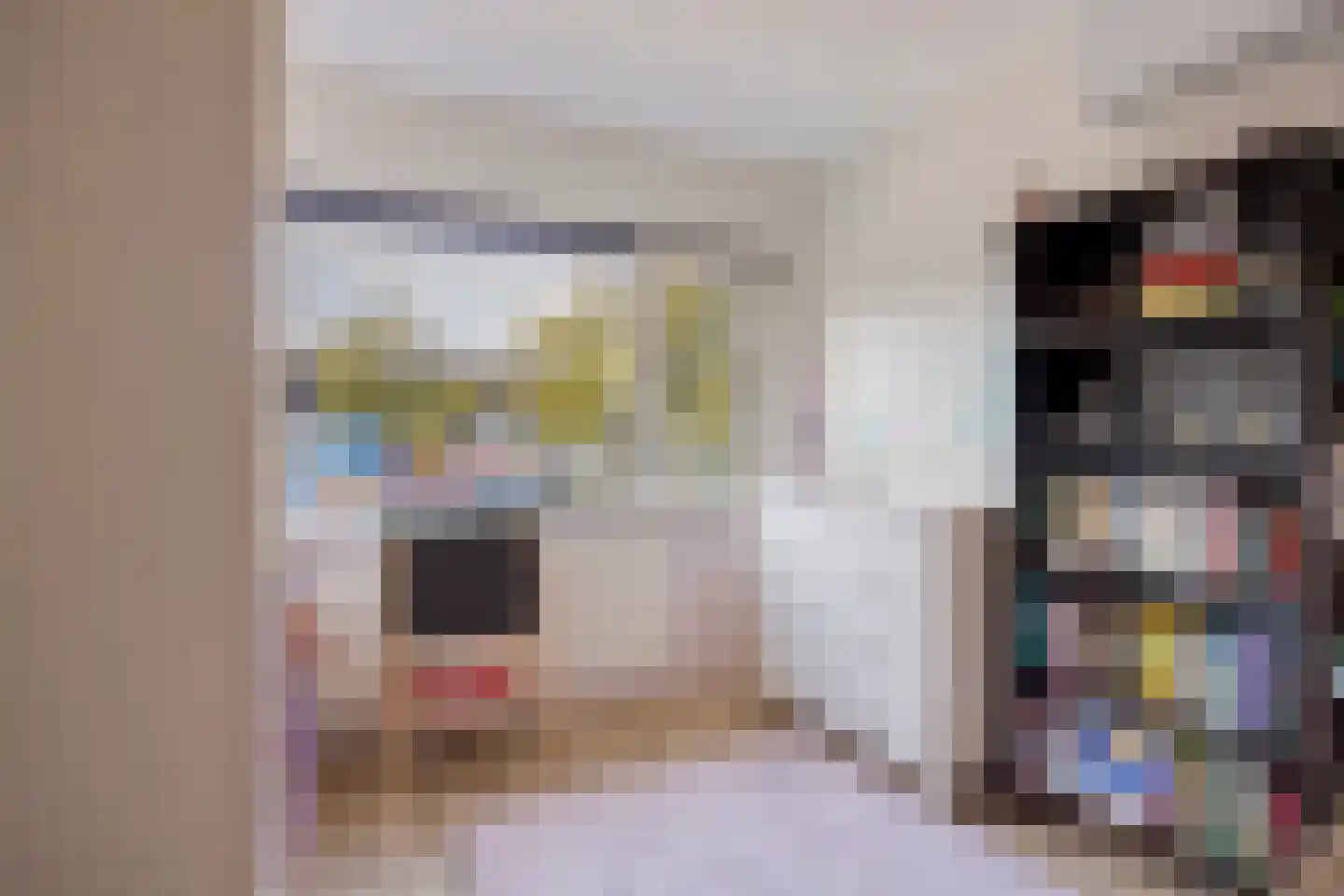 Binnendijk 22 Purmerend thumbnail 18