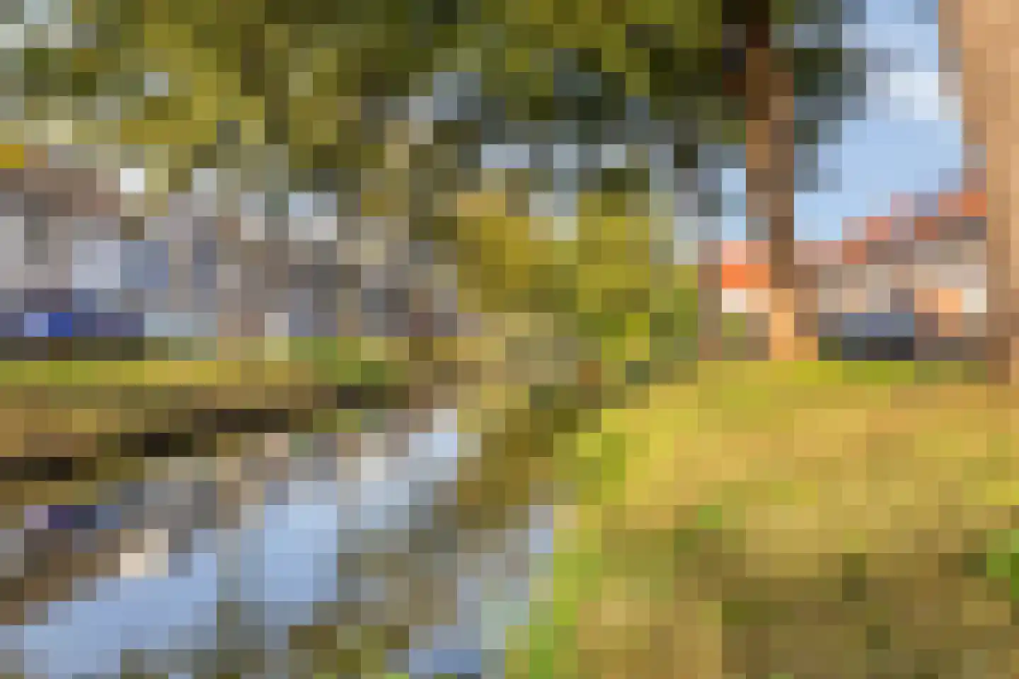 Binnendijk 22 Purmerend thumbnail 36