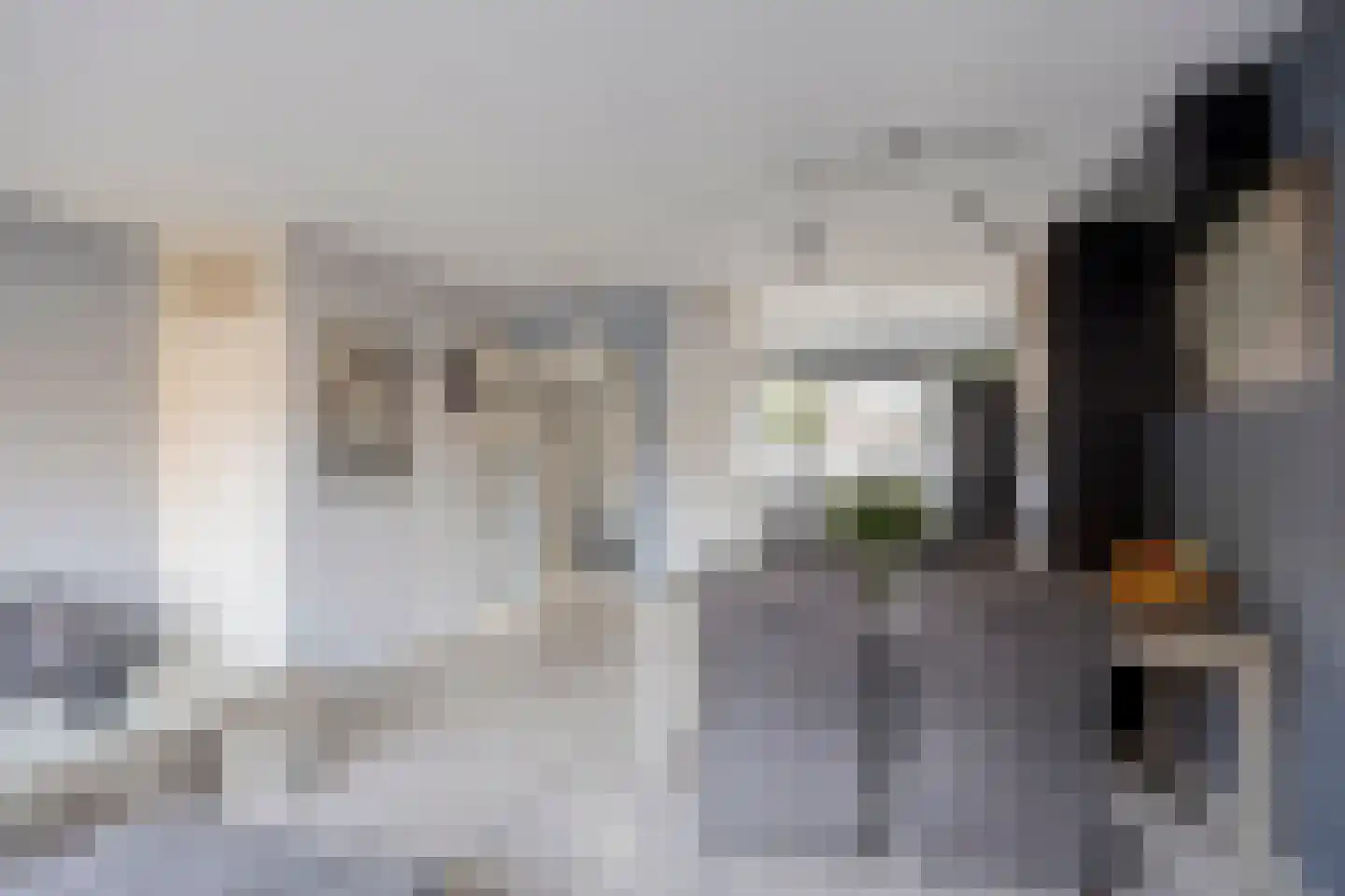 Binnendijk 22 Purmerend thumbnail 7