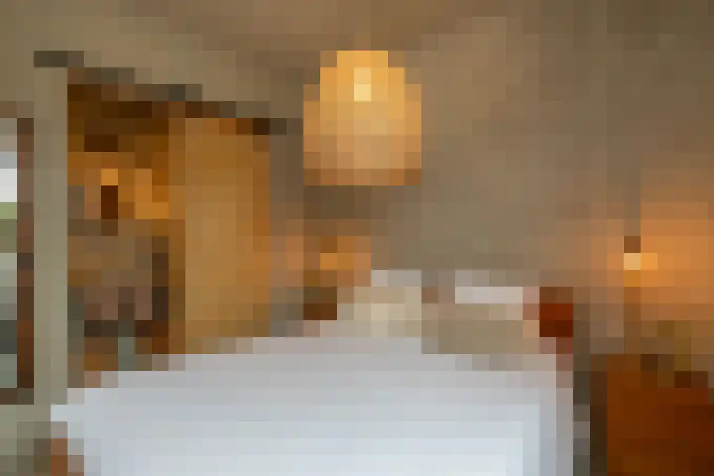Binnendijk 3 Wemeldinge thumbnail 101