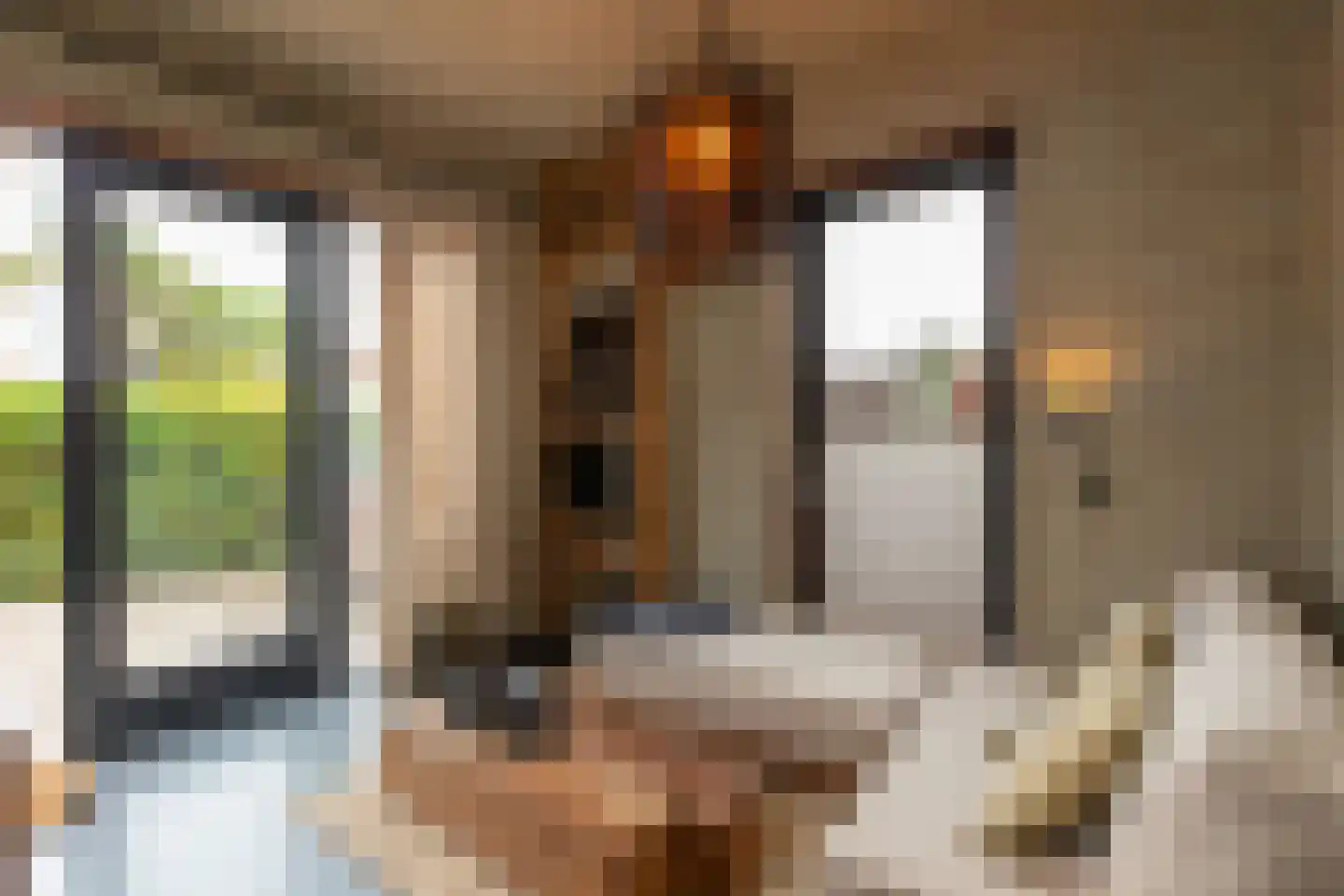 Binnendijk 3 Wemeldinge thumbnail 111