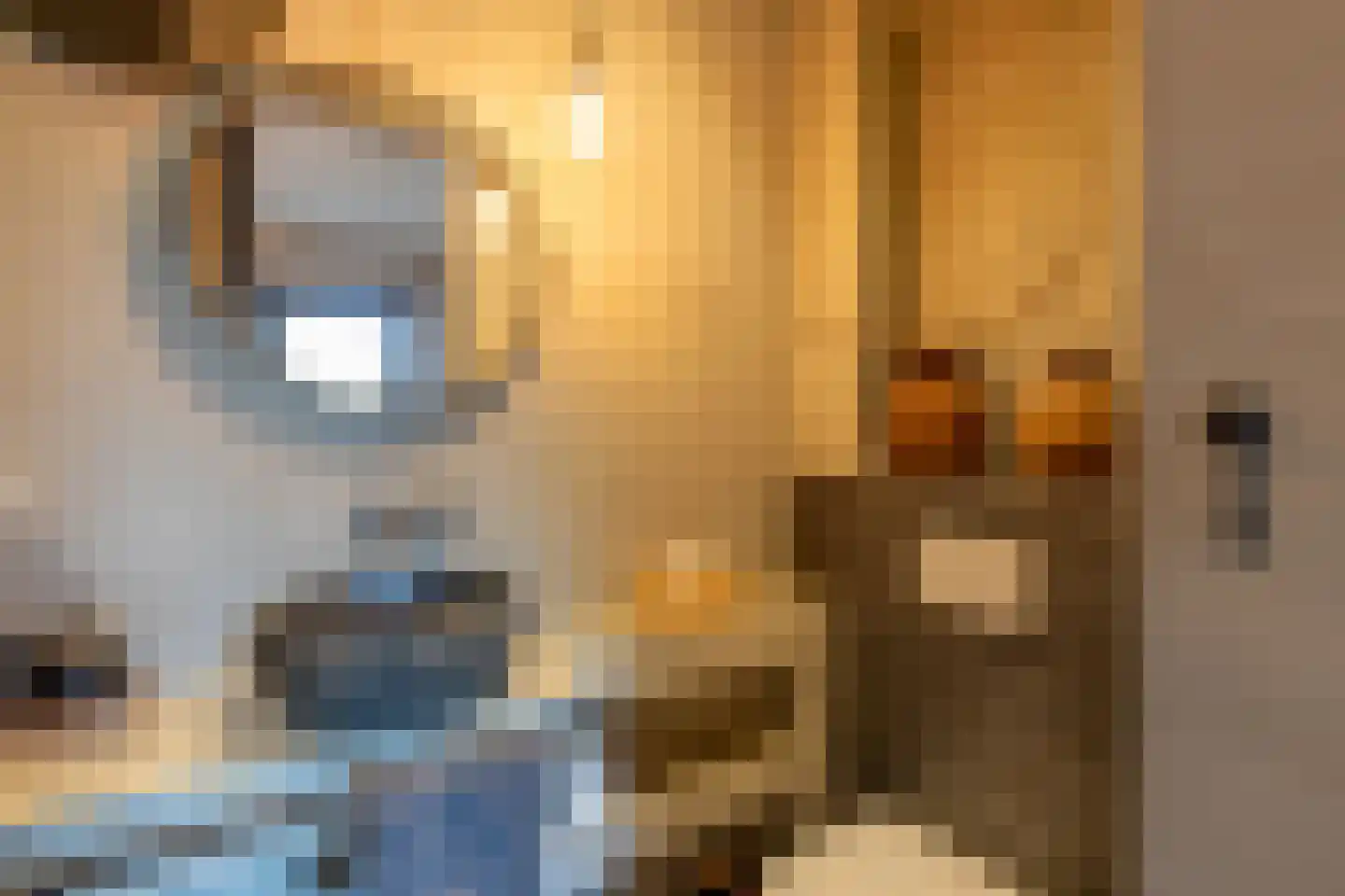 Binnendijk 3 Wemeldinge thumbnail 116