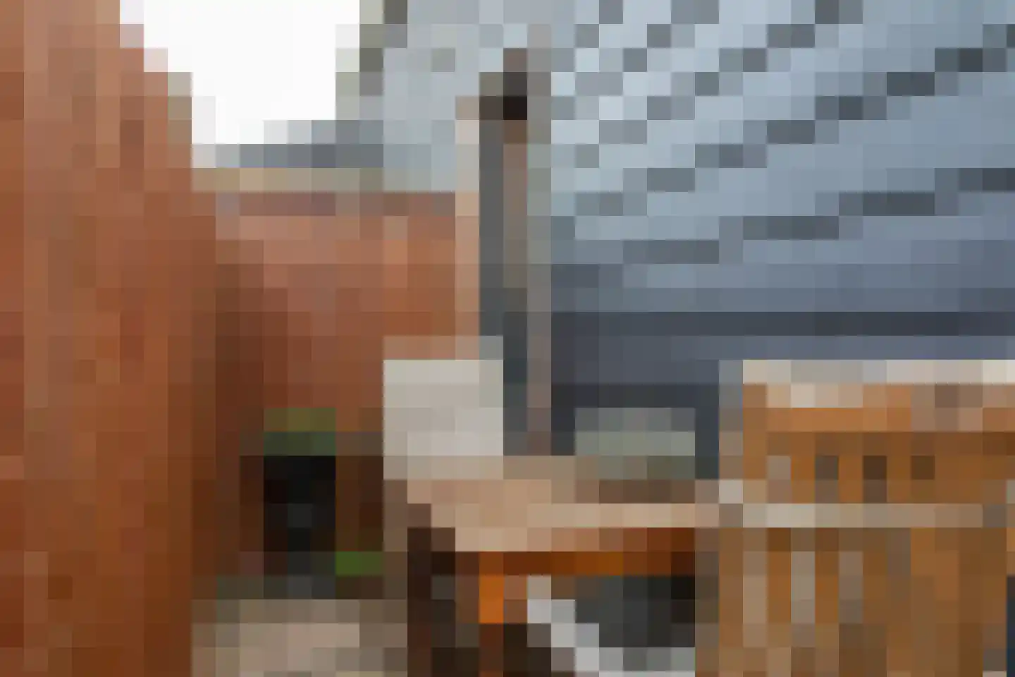 Binnendijk 3 Wemeldinge thumbnail 120