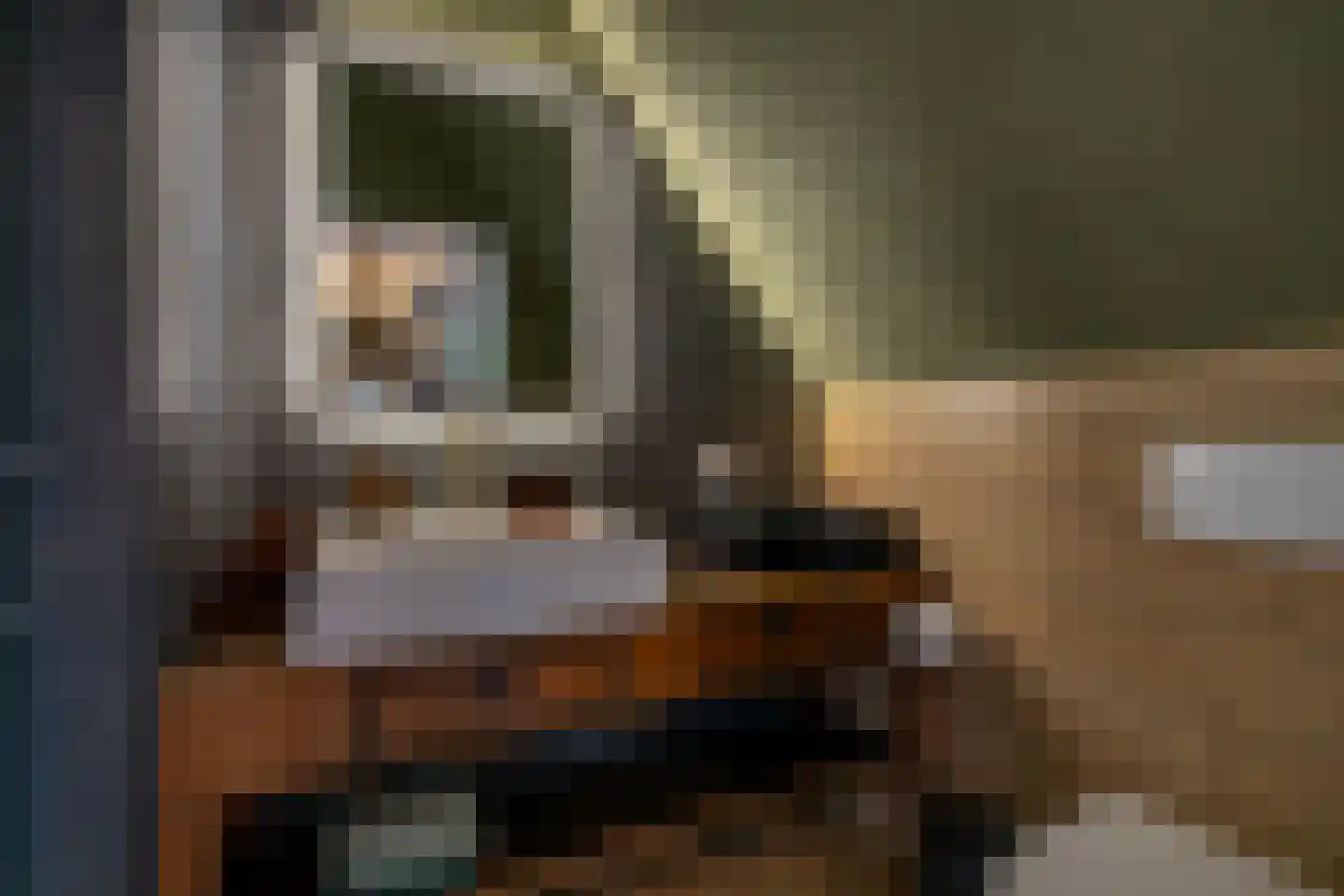 Binnendijk 3 Wemeldinge thumbnail 128
