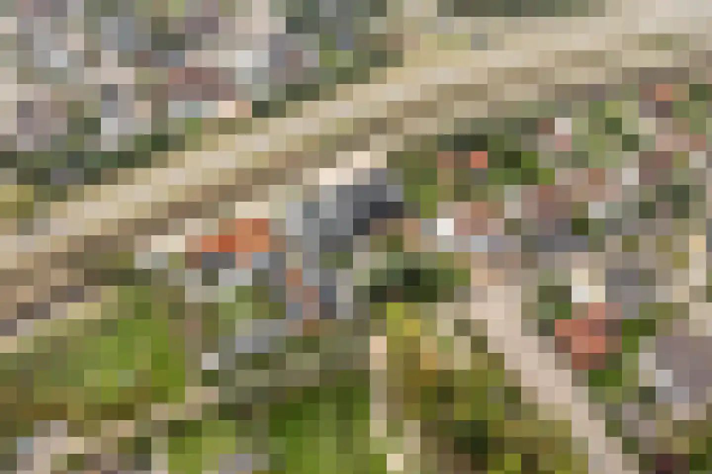 Binnendijk 3 Wemeldinge thumbnail 132