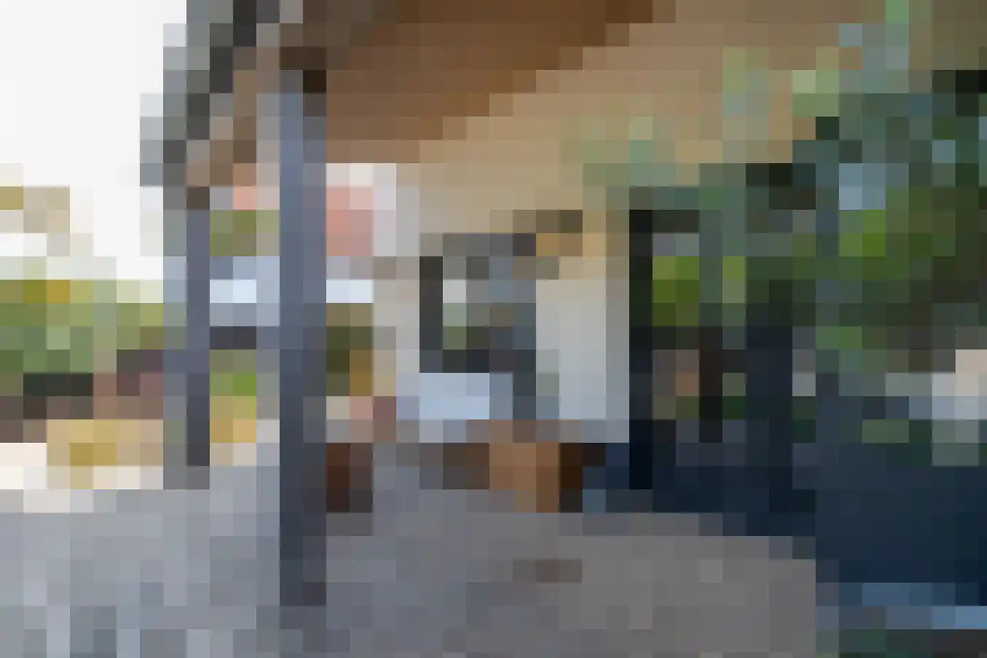 Binnendijk 3 Wemeldinge thumbnail 14
