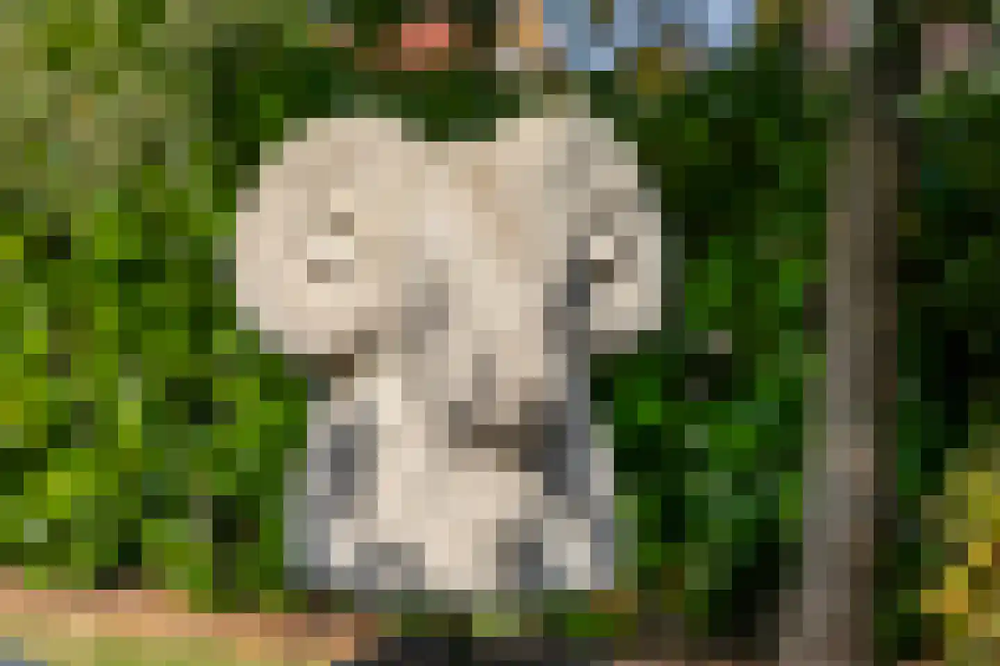 Binnendijk 3 Wemeldinge thumbnail 25