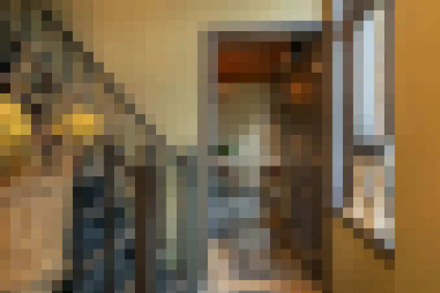Binnendijk 3 Wemeldinge thumbnail 32