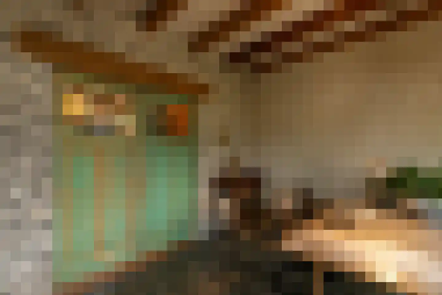 Binnendijk 3 Wemeldinge thumbnail 35