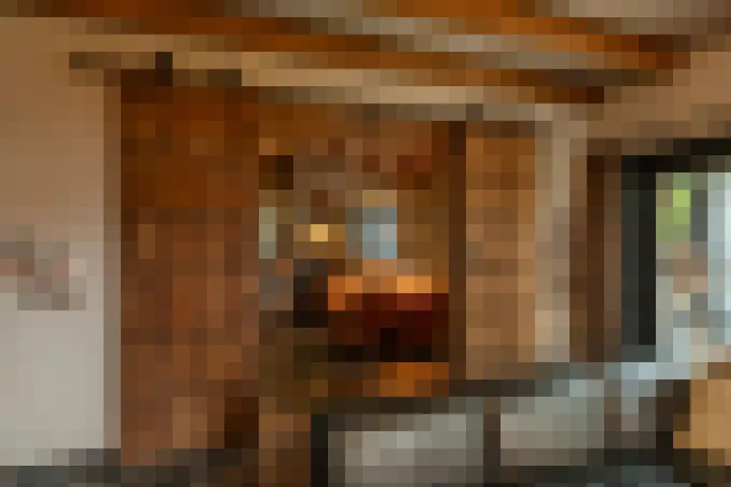 Binnendijk 3 Wemeldinge thumbnail 47