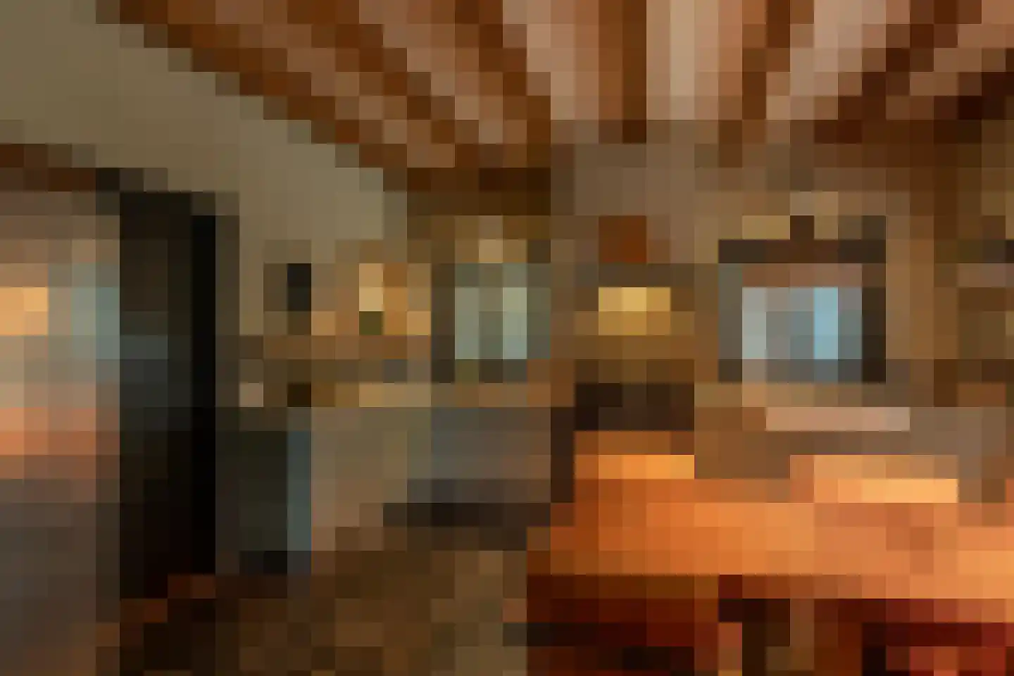 Binnendijk 3 Wemeldinge thumbnail 49