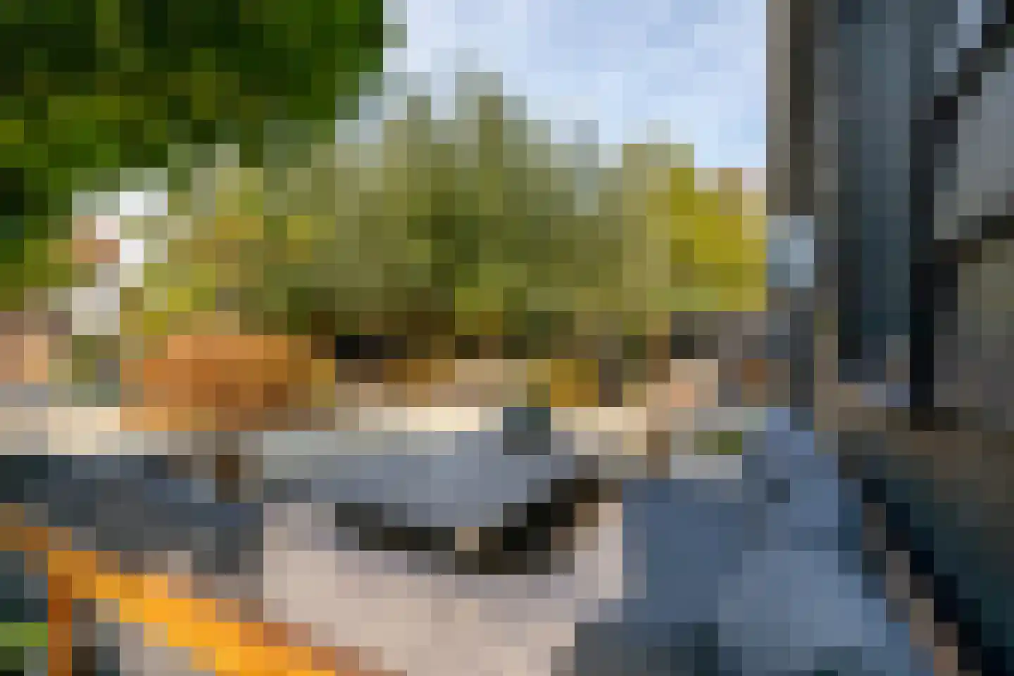 Binnendijk 3 Wemeldinge thumbnail 5