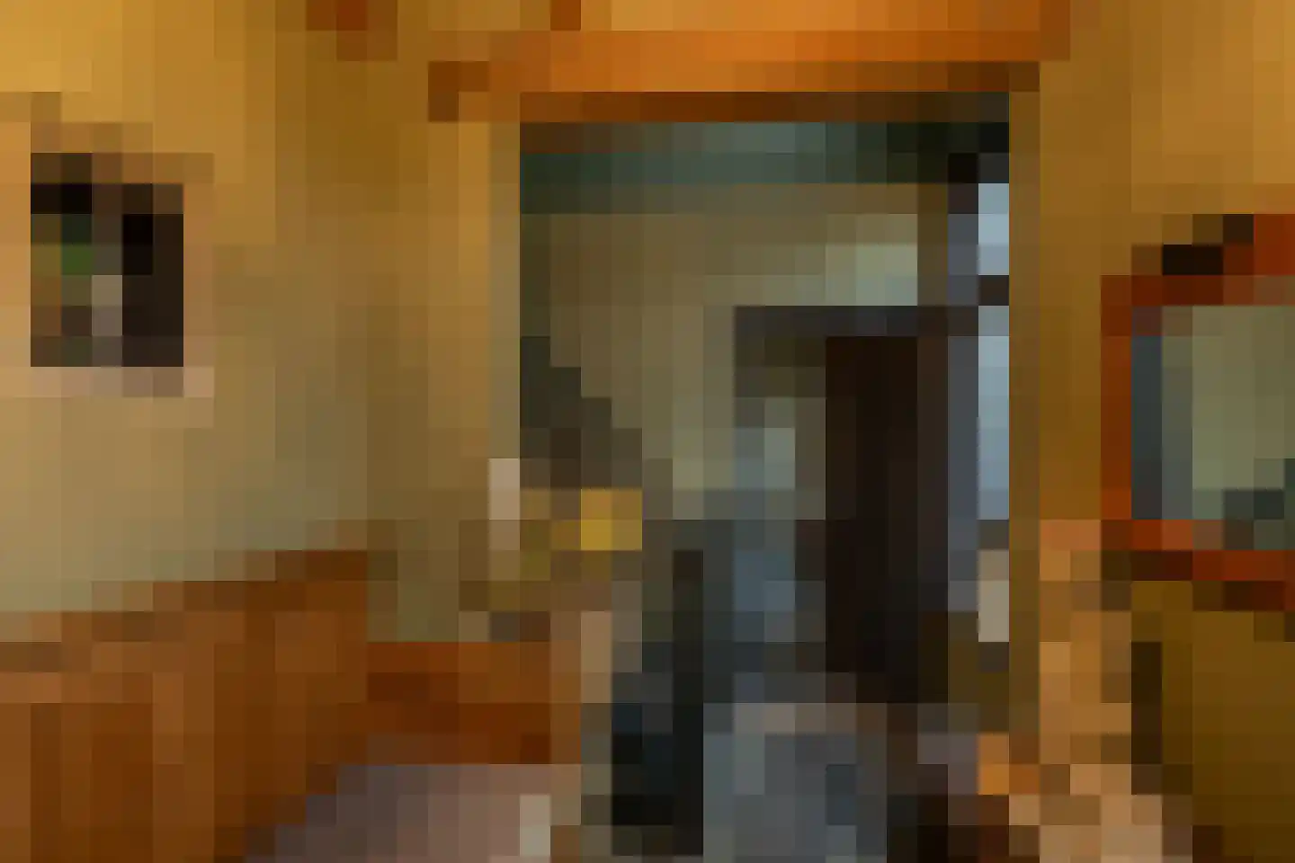 Binnendijk 3 Wemeldinge thumbnail 55